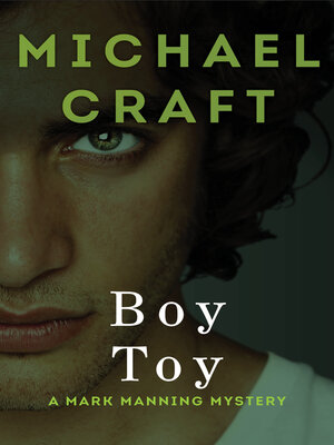 Boy Toy - ebook